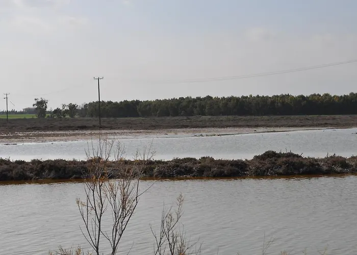 Feriehus Sunset Garden